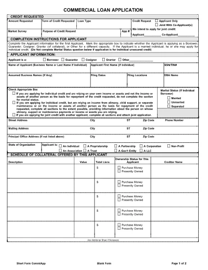 Commercial Loan Application Form