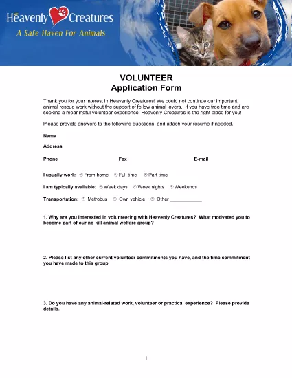 Non Profit Success Volunteer Application Form
