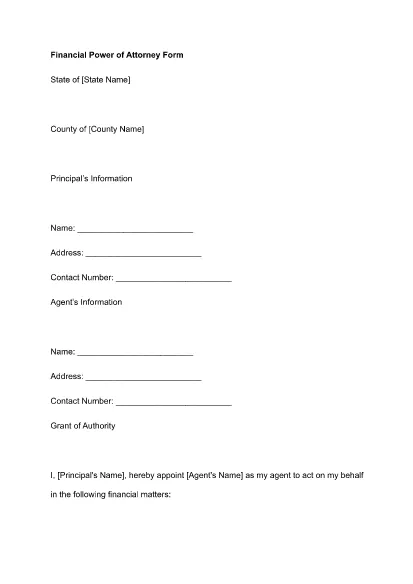 Financial Power of Attorney Form PDF Template